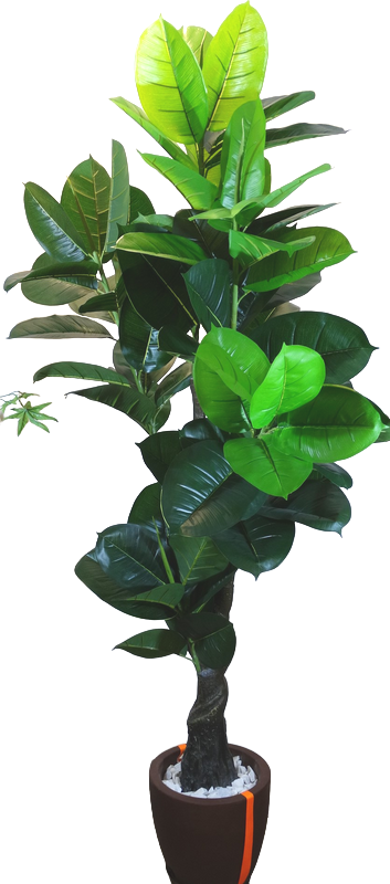 Arbol Artificial Ficus 180 cms