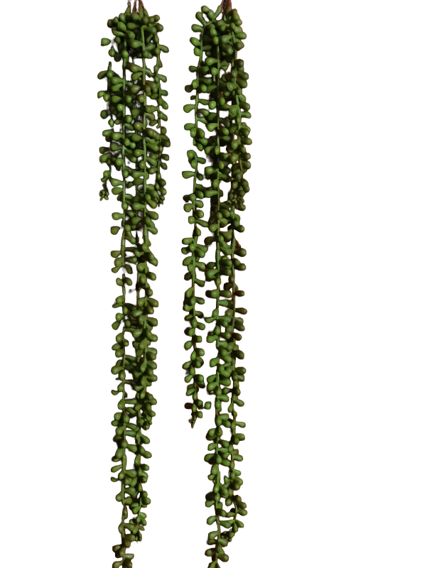 Planta Artificial Camándula