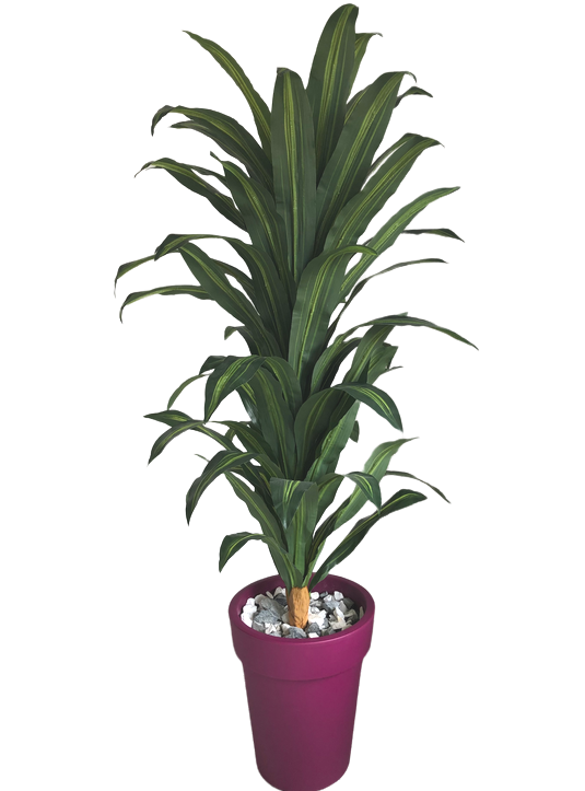 Plantas Artificiales Dracena Grande 130 cms