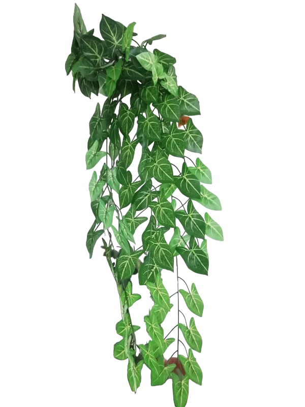 Enredadera 5 Ramas Hoja Alargada