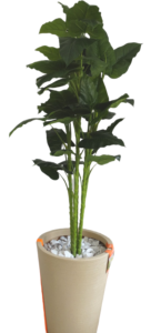 Planta Artificial Hoja Verde 150 cms