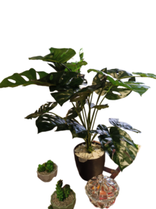 Planta Artificial 12 Hojas Balazo