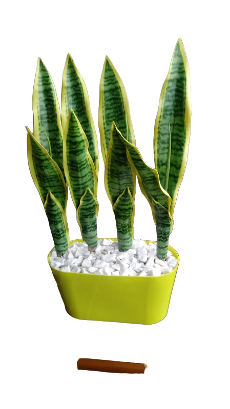 Planta Artificial Sansevieria (Lengua de Suegra)